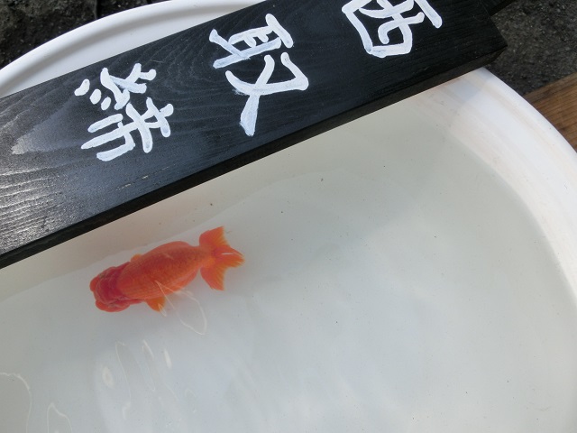 西取締 (3) - コピー.JPG