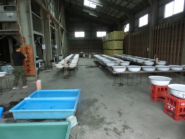 CIMG8270.JPG