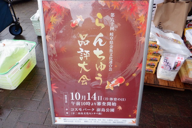 DSCF4988.JPG