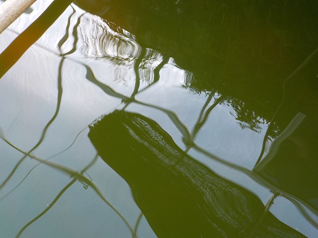 DSCN2067.JPG
