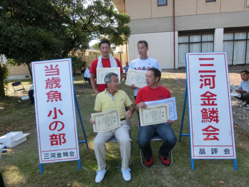 【らんちゅう当歳魚】三河金鱗会