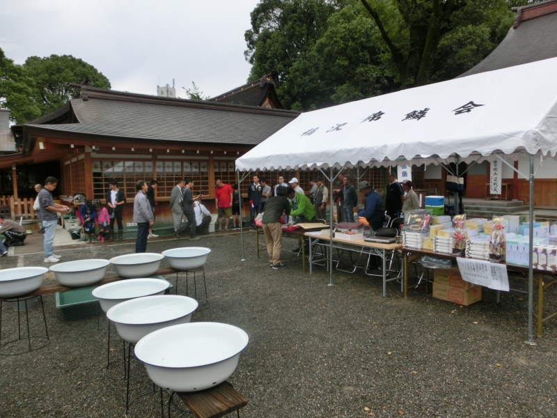 【らんちゅう当歳魚】稲沢錦鱗会　